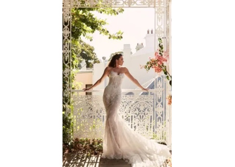 Exclusive Trunk Shows: Showcasing the Finest Wedding Gown Designers