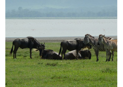 Best Safari Lodges in Tanzania