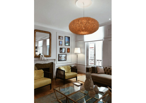 New York City's Elegant Living Room Interior Design