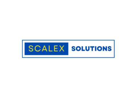 Business Mentoring Service | Scalex Solutions