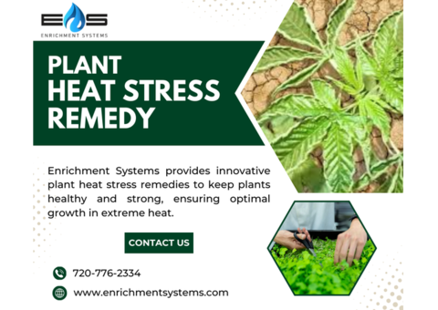 Enrichment Systems: Your Partner in Plant Heat Stress Relief