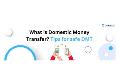 Domestic Money Transfer