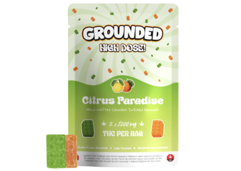 Grounded High Dose Bricks – Citrus Paradise 2000mg Gummies