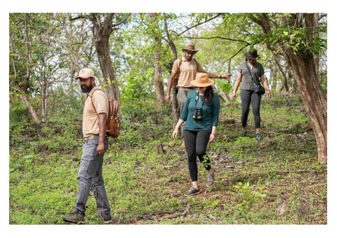 Jungle Trekking In Sasan Gujarat | Hotel In Gujarat