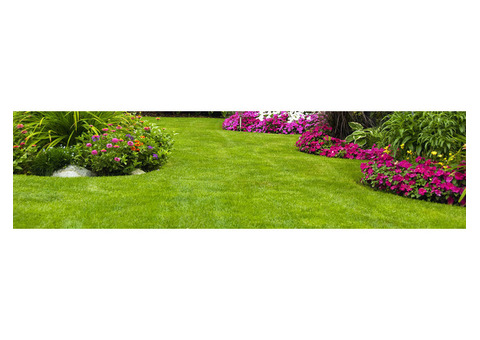 Landscape Gardener Sydney