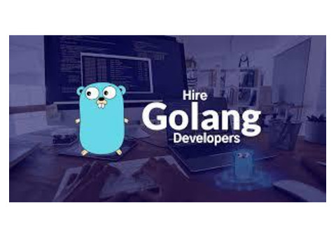 Top-notch Golang Development Services in Florida