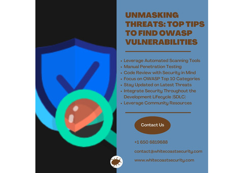 Unmasking Threats: Top Tips to Find OWASP Vulnerabilities