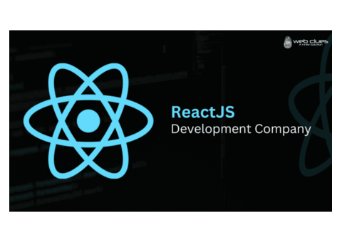 Top Reactjs Development Company