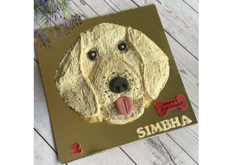 Nutritious and Delicious Dog Cakes Hyderabad