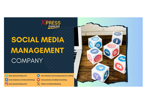 Elevate Your Brand with Our Expert Social Media Management Solutions