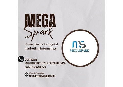 One of the Best Digital Marketing company in India is mega spark