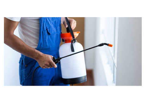 Comprehensive Pest Control Services in Keilor Reliable Solutions