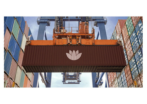 Used shipping containers for sale in Florida | LOTUS Containers