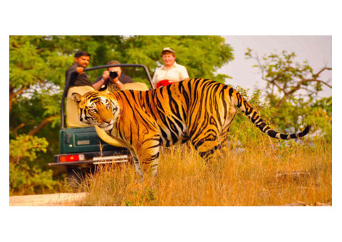 Cultural Visit At Sasan Gir | Sasan Gir Trip | Gir National Park