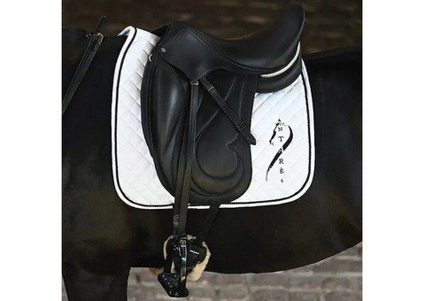 Antares Saddles Canada - Vision Saddlery