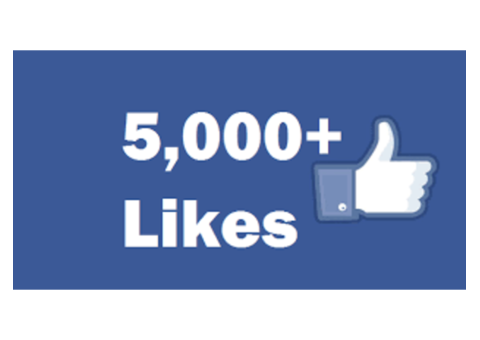 Buy 5000 Facebook Page Likes Online at Cheap Price