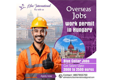 Hungarian citizen and jobs