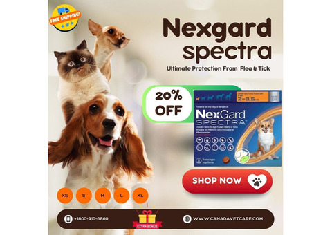 Canadavetcare: Special 20% Off on Nexgard Spectra for Dogs