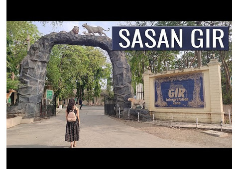 Place To Visit Near Sasan Gir |  Things To Do In Junagadh