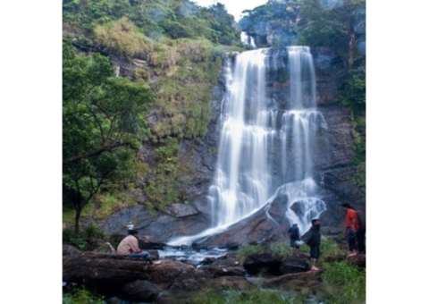 Experience Chikmagalur with Local Tour Packages Book Now!