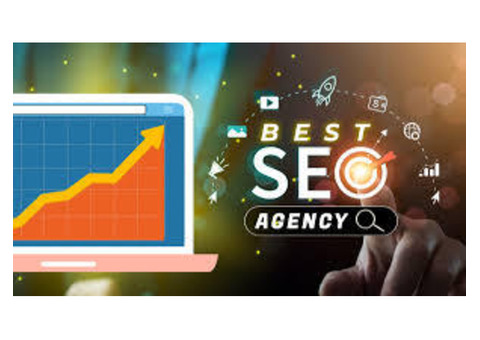 Choose The Best SEO Agency in Faridabad