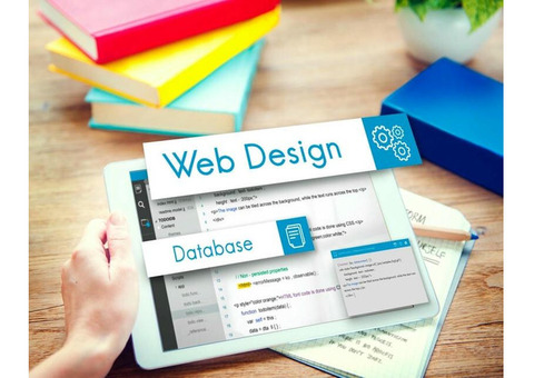 Expert Web Design Services in Jaipur