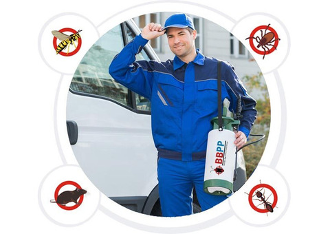 BBPP Pest Control Service in Thornhill - Get a free quote