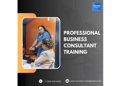 Professional Business Consultant Training | Cerulean Management