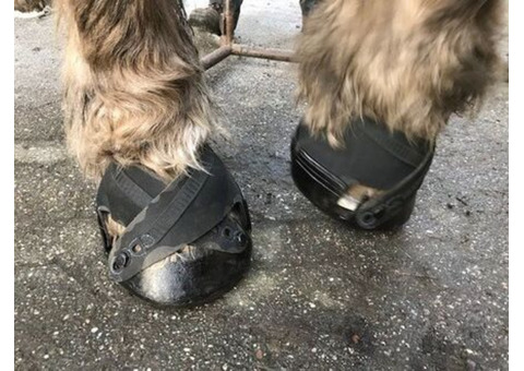 Protect your Horse’s Hooves with Full Custom Hoof Boots