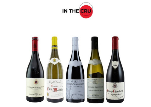 Choose the Top Rated Wines Florida | In The Cru