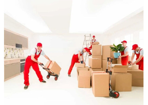 Relocate Stress-Free with Expert Packers and Movers!