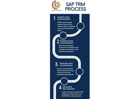 SAP Treasury and Risk Management (SAP TRM) Online Training