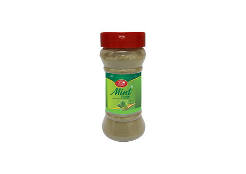 Buy Dry Mint Leaves Powder Online in India