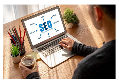 Professional On-Page SEO Services