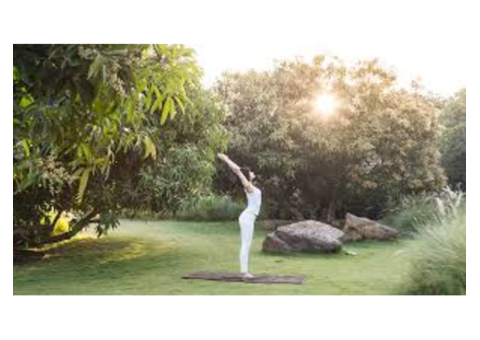 Yoga In Gir Sasan Gir | Meditation In Gir Sasan Gir