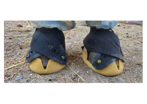 Simplifying Your Search for Easy-to-Use Hoof Boots