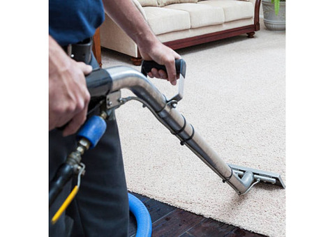 Transform Your Home With Professional Carpet Steam Cleaning