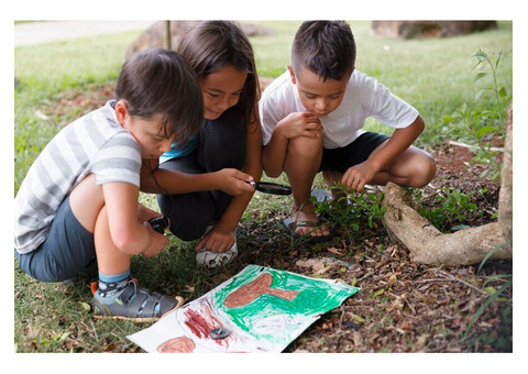 Professional Nature Based Preschools