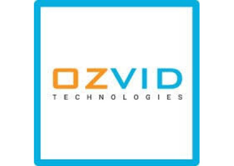 Premier Flutter App Development Company | OZVID Technologies.