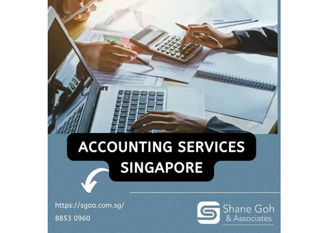 Expert Accounting Services in Singapore for Your Business