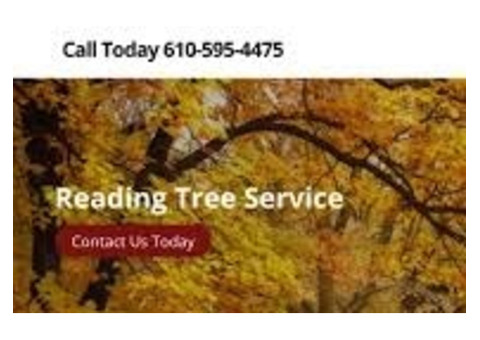 Reading Tree Service