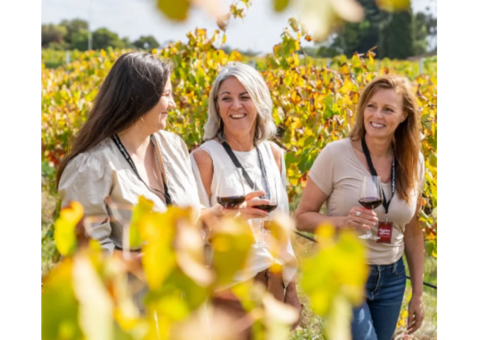 Wine tours perth swan valley | BLUE Charters Perth