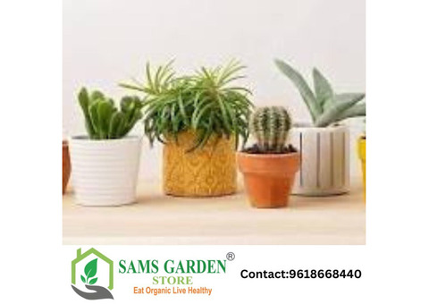 Plant Pots Online - Samsgarden  Store