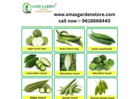 Vegetable Seeds Online Kerala - Samsgarden Store