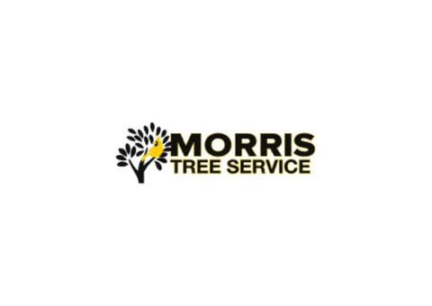 Best Quality Tree Trimming in Hudson, FL - Morris Tree Service