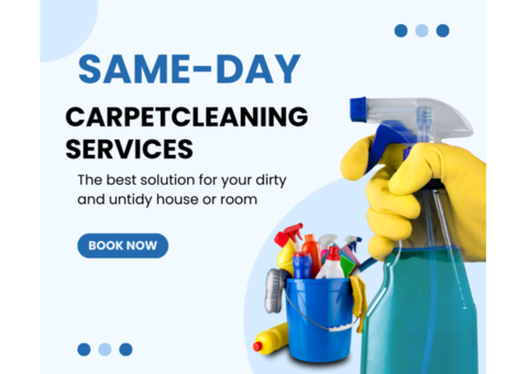 Melbourne Carpet Cleaning: Revitalize Your Carpets Today!