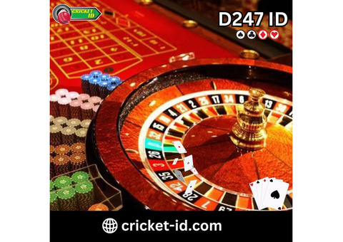 D247 ID: An Unpredictable Adventure at Every Bet