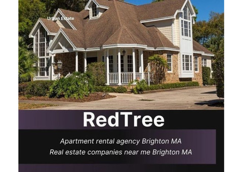 Connect Apartment Rental Agency Brighton, MA for your dream apartments