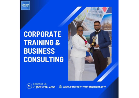 Corporate Training & Business Consulting | Cerulean Management