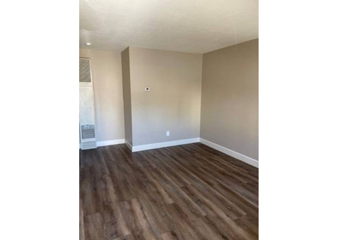 Modern 1 Bedroom Apartment in Prime Reno Location - 1101 E Taylor St